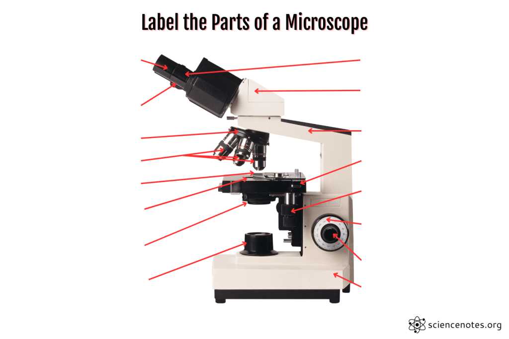 diagram of microscope parts
