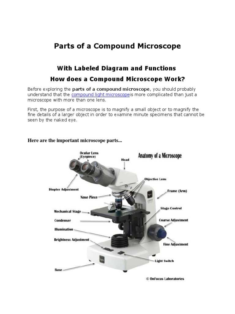 diagram of microscope parts
