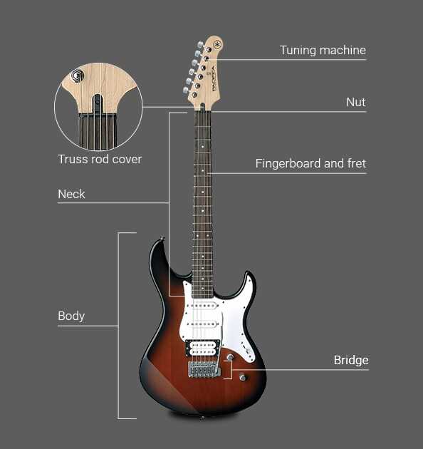 electric guitar diagram parts electric guitar diagram parts