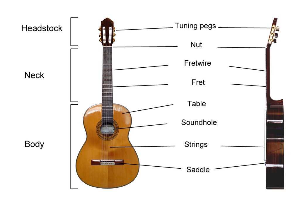 electric guitar parts diagram electric guitar parts diagram