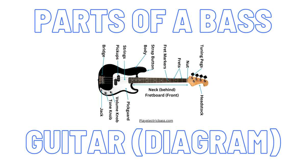 electric guitar parts diagram electric guitar parts diagram