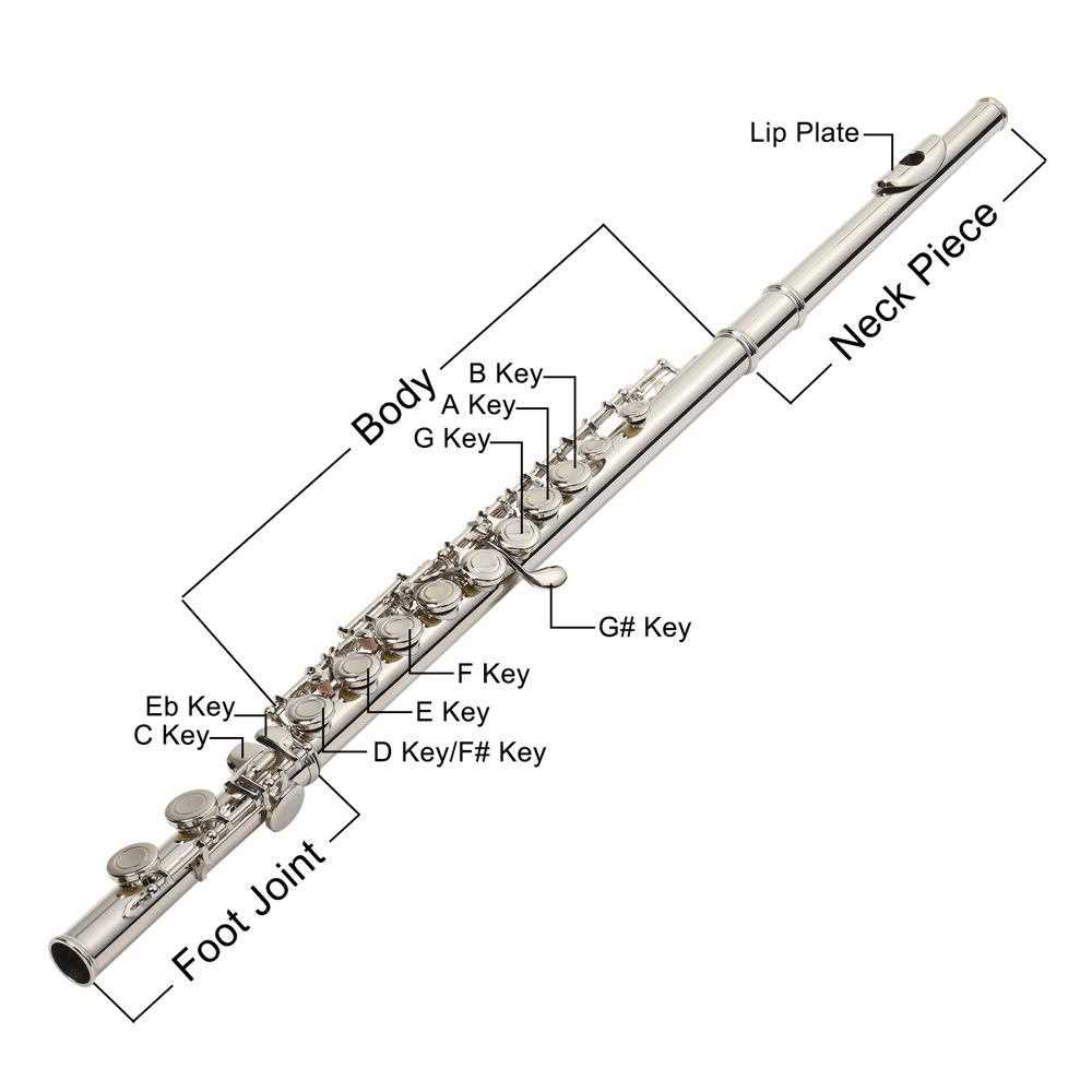 flute parts diagram