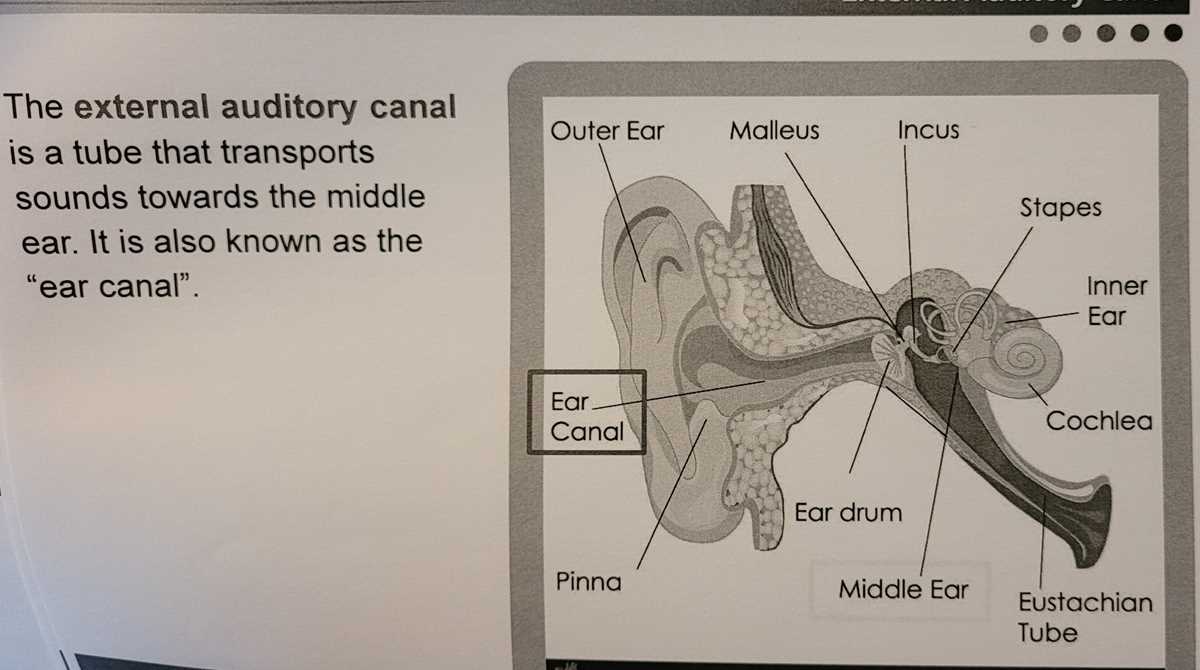 match the parts in the diagram with the correct label