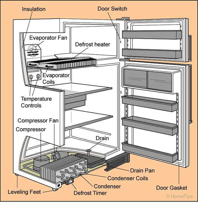 mini fridge parts diagram