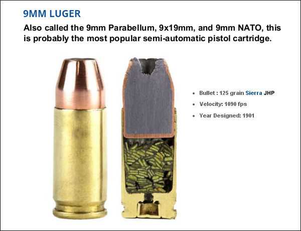 parts of a bullet diagram
