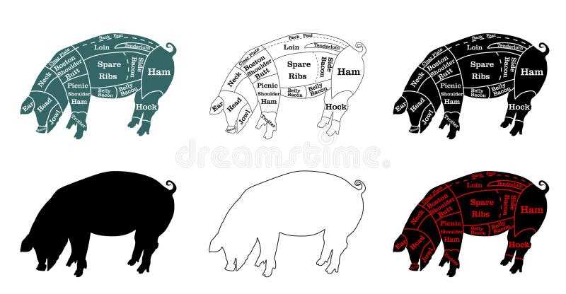 parts of a hog diagram parts of a hog diagram