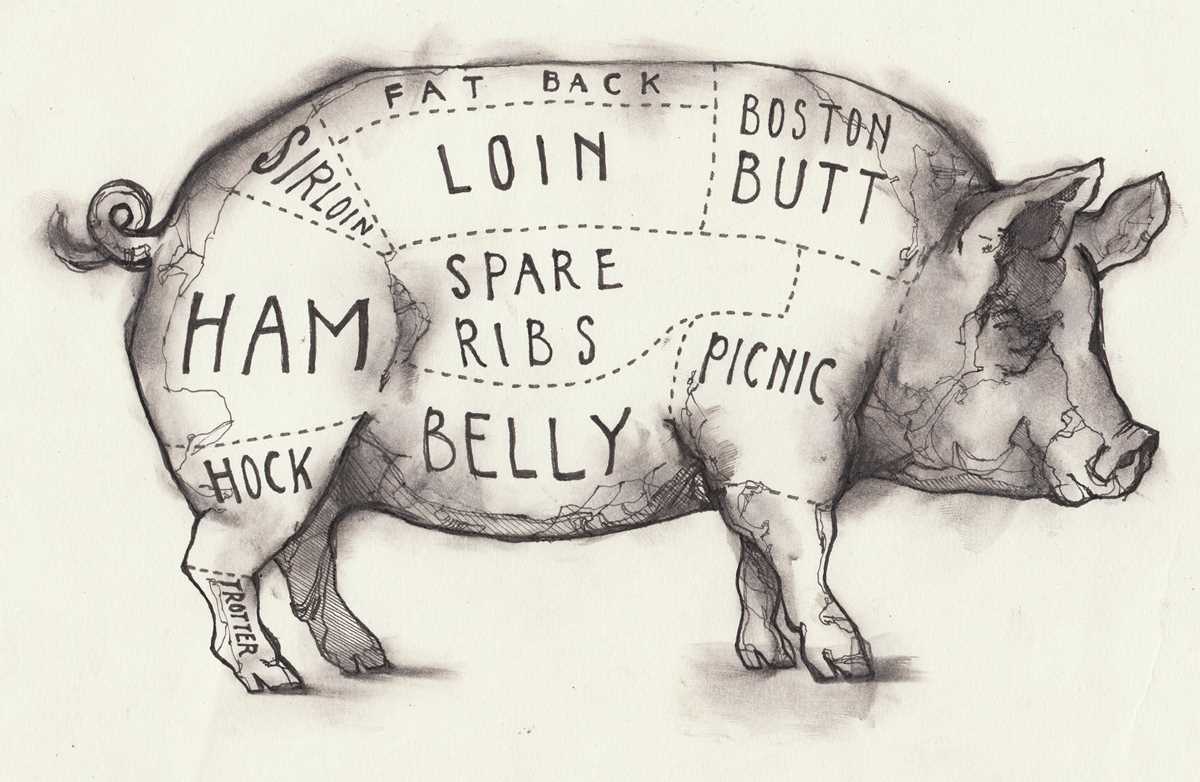 parts of a hog diagram parts of a hog diagram