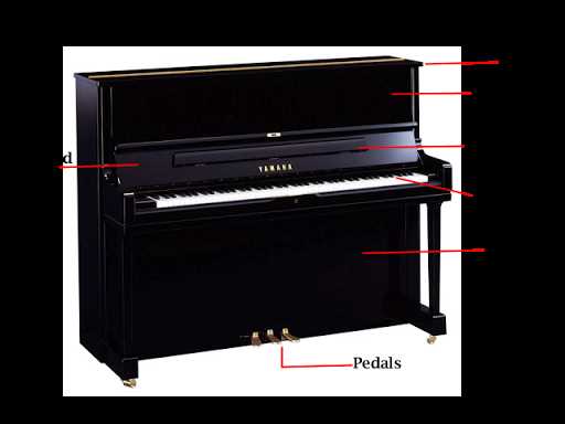parts of a piano diagram