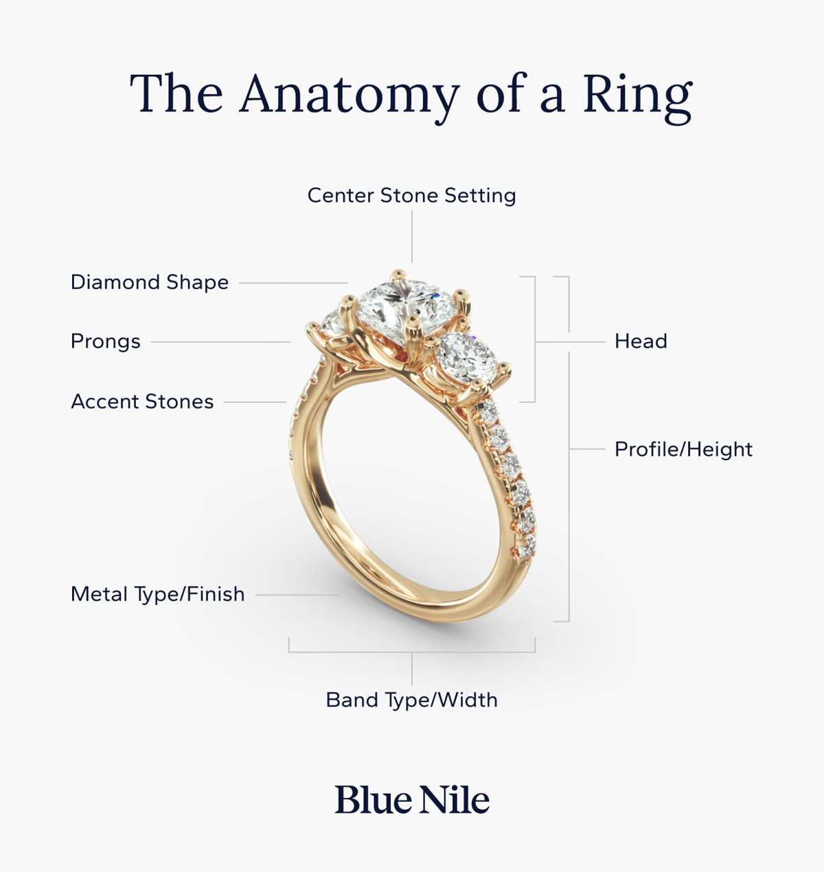 parts of a ring diagram