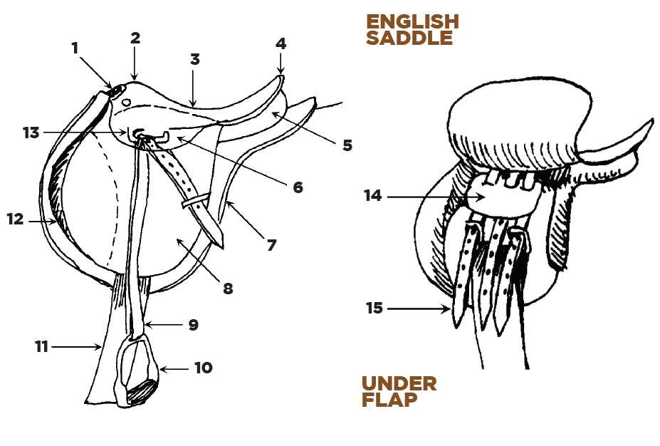 parts of a western saddle diagram