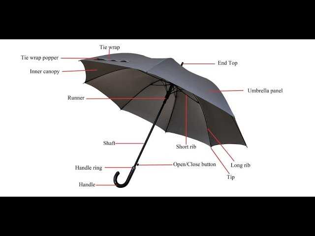 parts of an umbrella diagram parts of an umbrella diagram