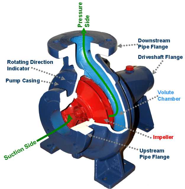 parts of centrifugal pump diagram parts of centrifugal pump diagram