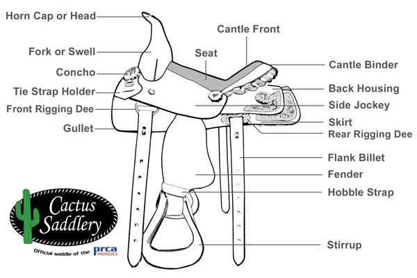 parts of saddle diagram parts of saddle diagram