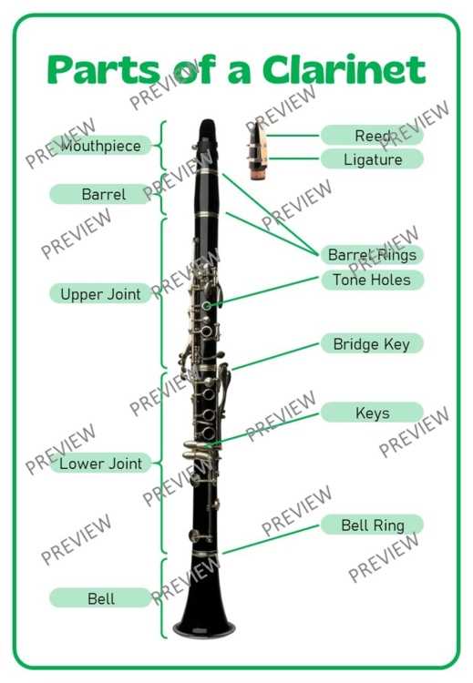 parts of the clarinet diagram