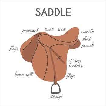 parts of the saddle diagram