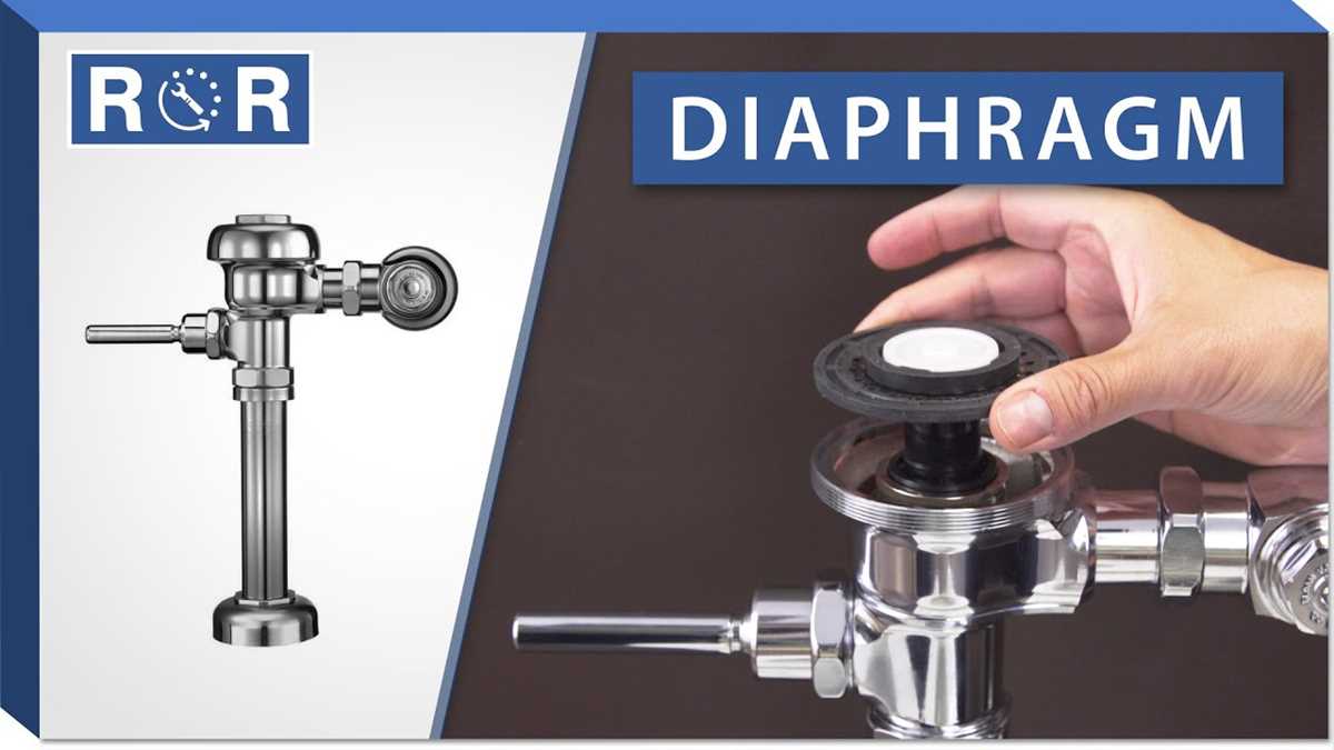 sloan valve parts diagram