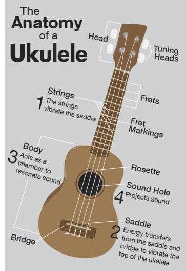 ukulele diagram of parts