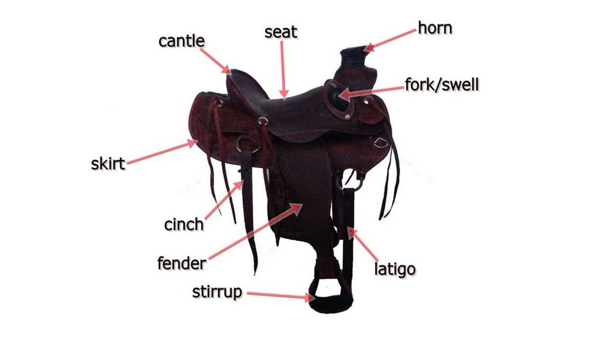 western saddle parts diagram western saddle parts diagram