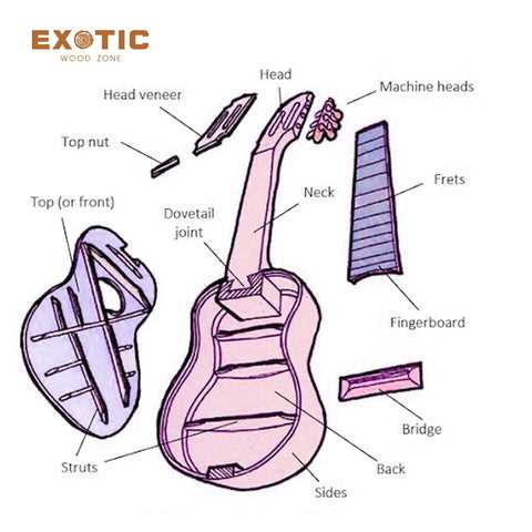 acoustic guitar parts diagram
