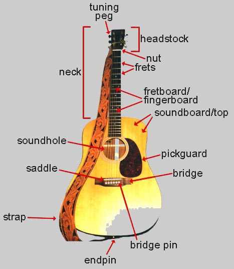 bass guitar parts diagram