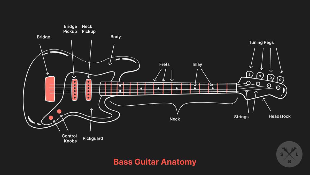 bass parts diagram