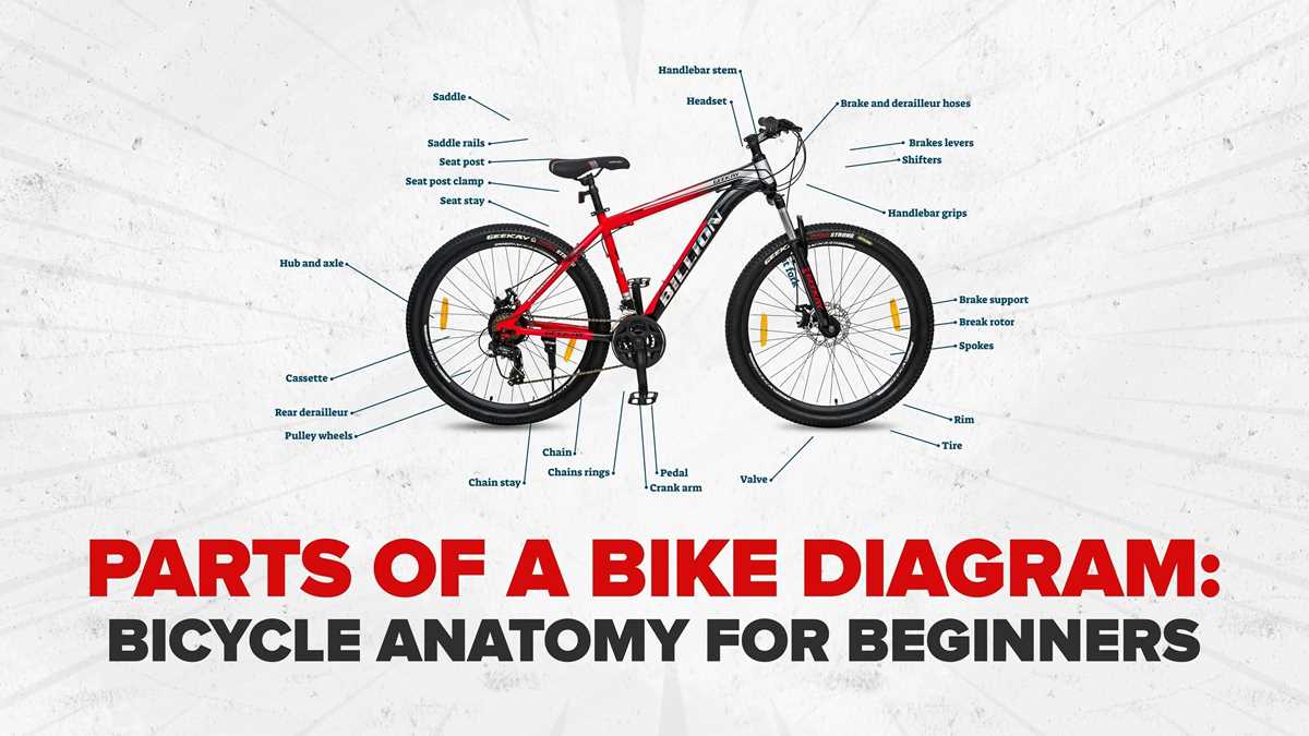 bike wheel parts diagram
