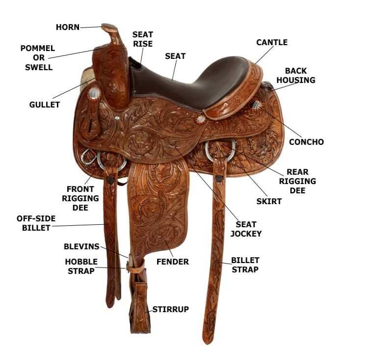 saddle parts diagram saddle parts diagram
