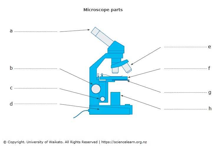 diagram of microscope parts