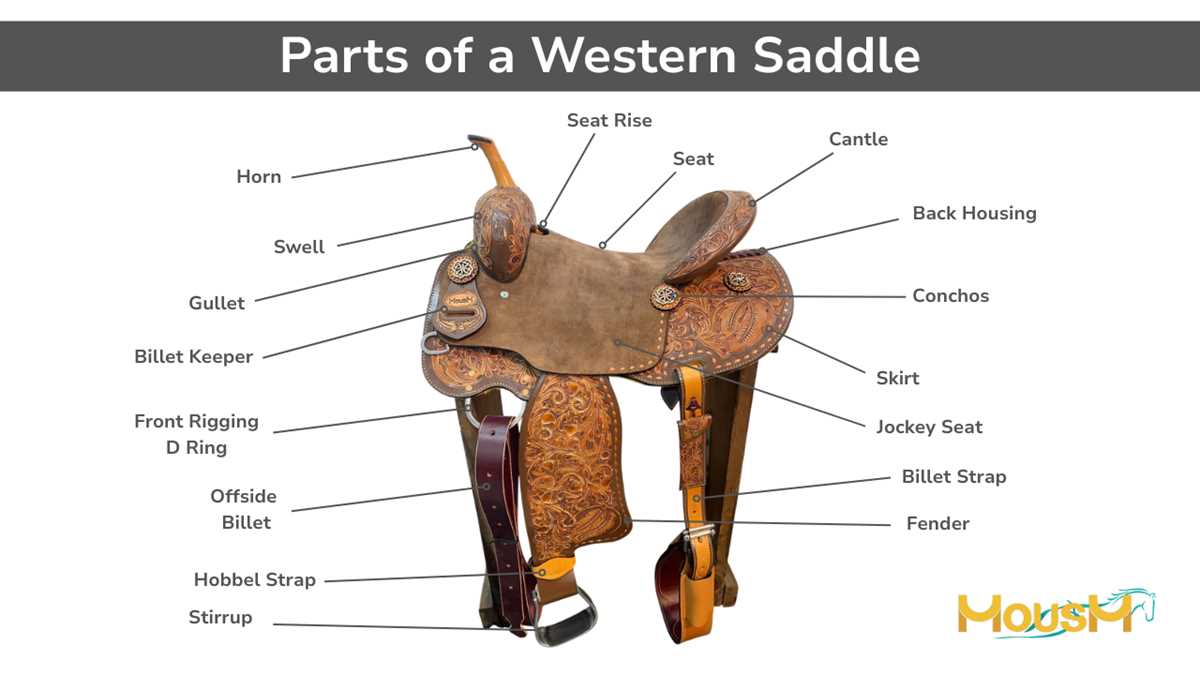 diagram of saddle parts