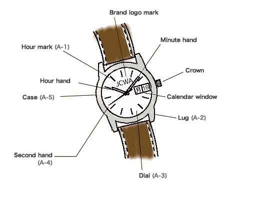 diagram parts of a watch