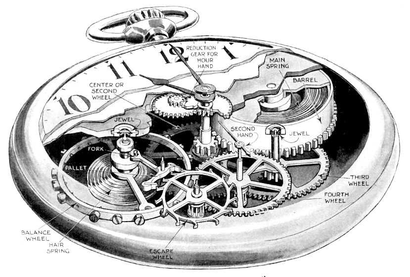 diagram parts of a watch