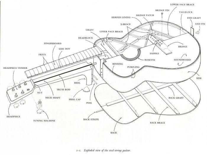 diagram of acoustic guitar parts diagram of acoustic guitar parts
