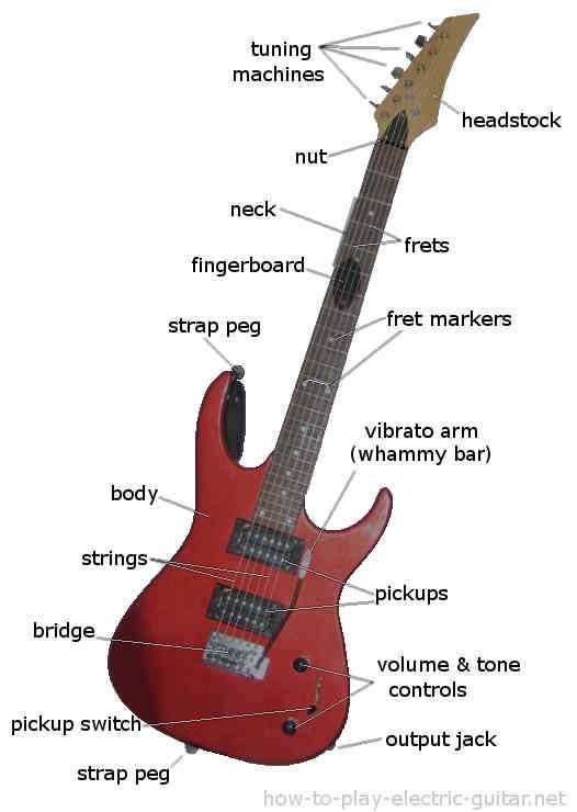 electric guitar diagram parts electric guitar diagram parts