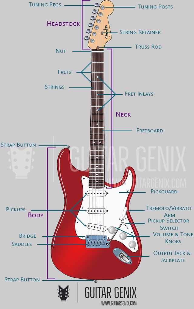 electric guitar parts diagram electric guitar parts diagram