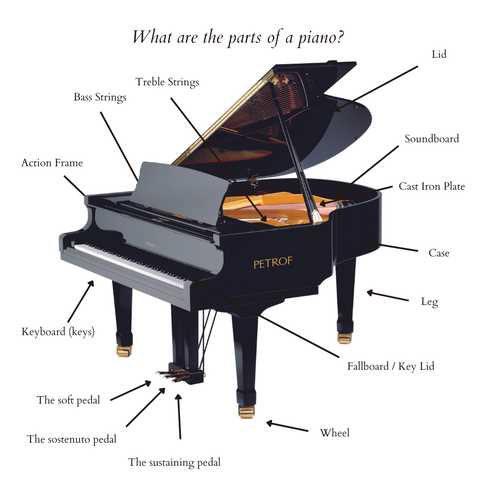 parts of a piano diagram