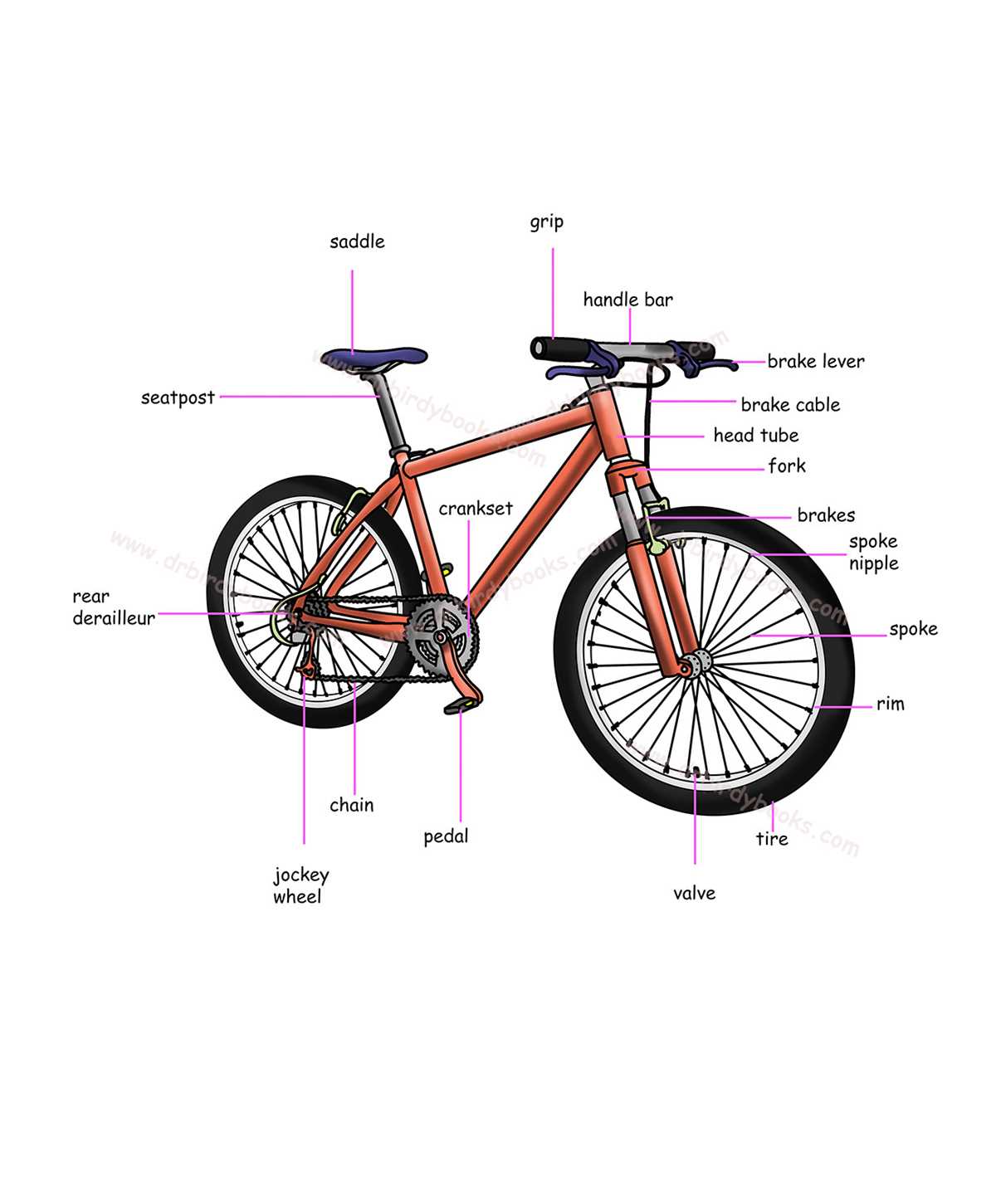 trek bicycle parts diagram
