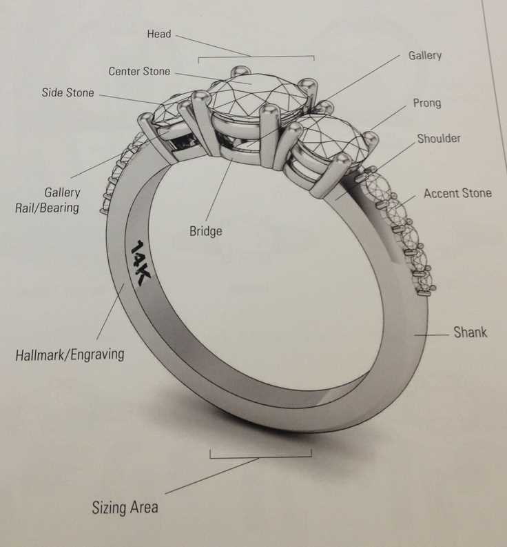 parts of a ring diagram