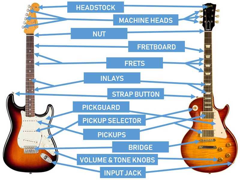 bass guitar parts diagram