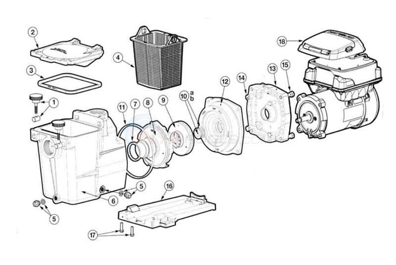 1.5 hp hayward pool pump parts diagram