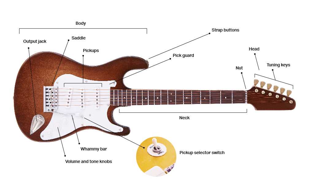 bass guitar parts diagram