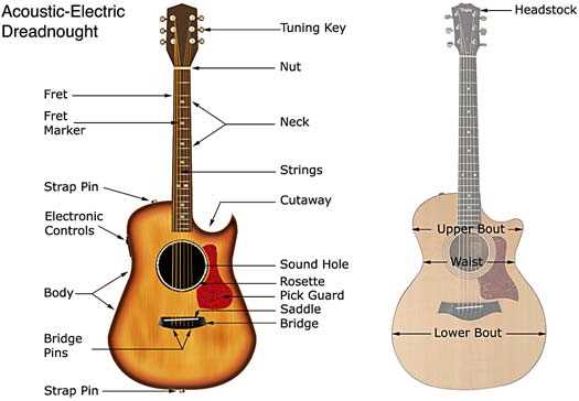 parts of the guitar diagram