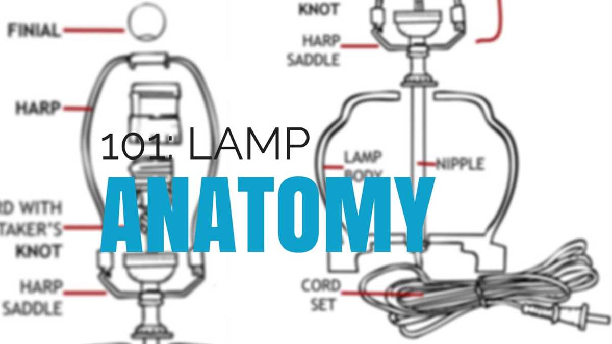 floor lamp parts diagram floor lamp parts diagram