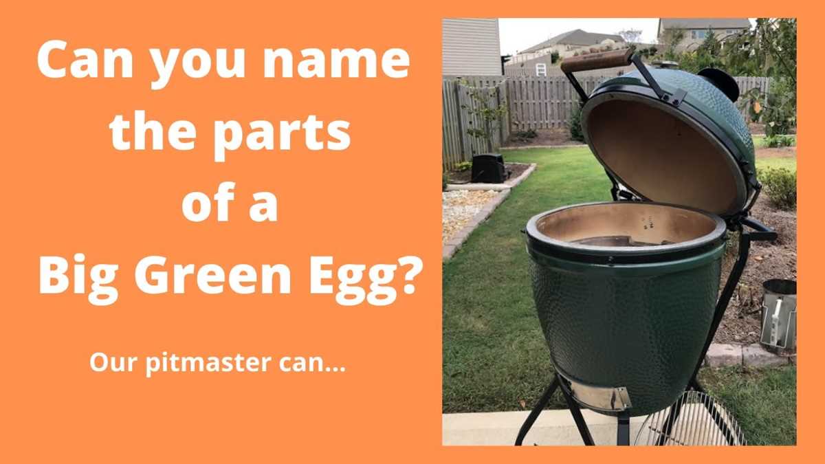 green egg parts diagram green egg parts diagram