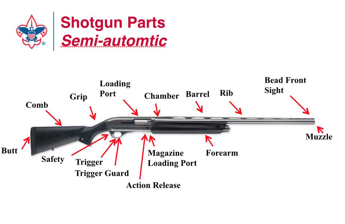 side by side shotgun parts diagram