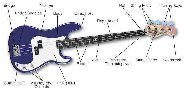 electric bass parts diagram electric bass parts diagram