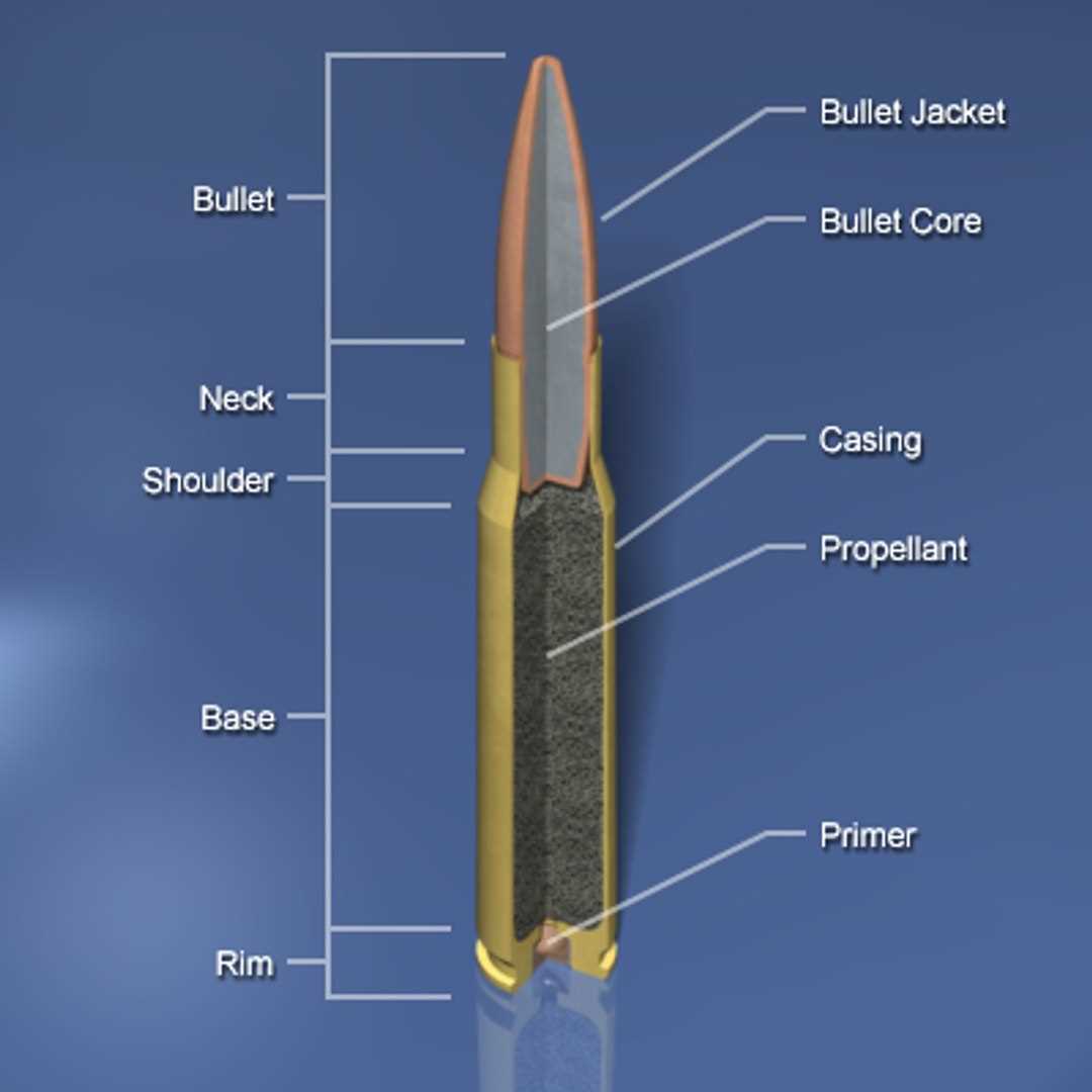 parts of a bullet diagram
