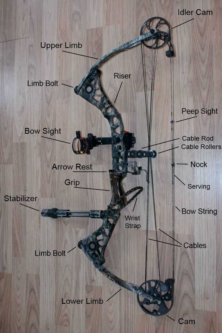 parts of a compound bow diagram parts of a compound bow diagram