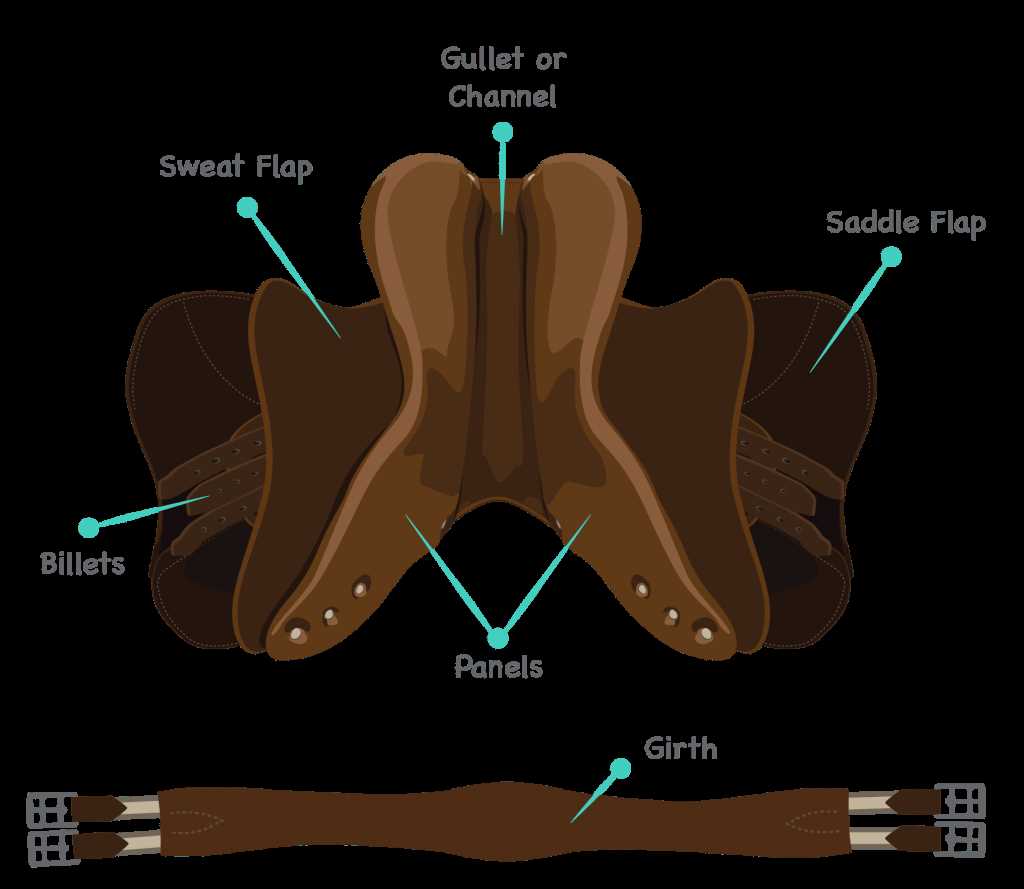 parts of a saddle diagram parts of a saddle diagram