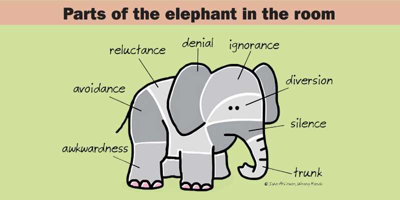 parts of an elephant diagram