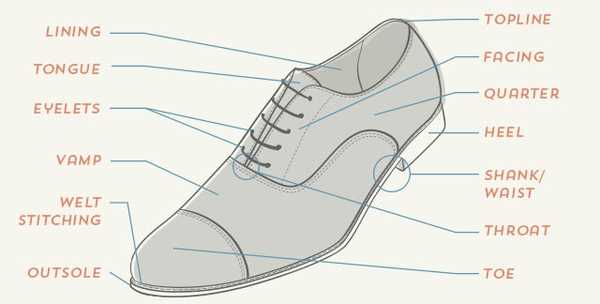 parts of shoe diagram